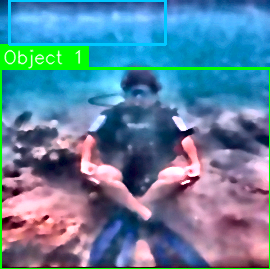 AquaVision output showing the diver inside a green detection box labelled Object 1.